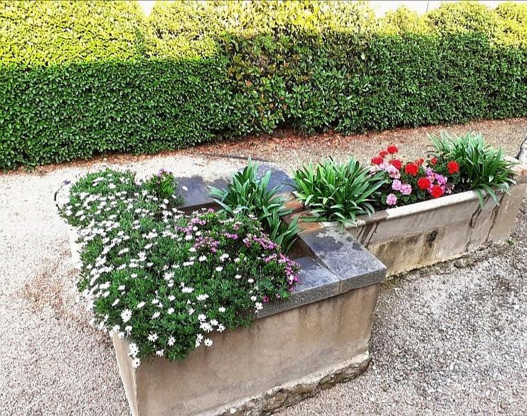 Agriturismo Boschetto Di Montiano Монтияно Экстерьер фото