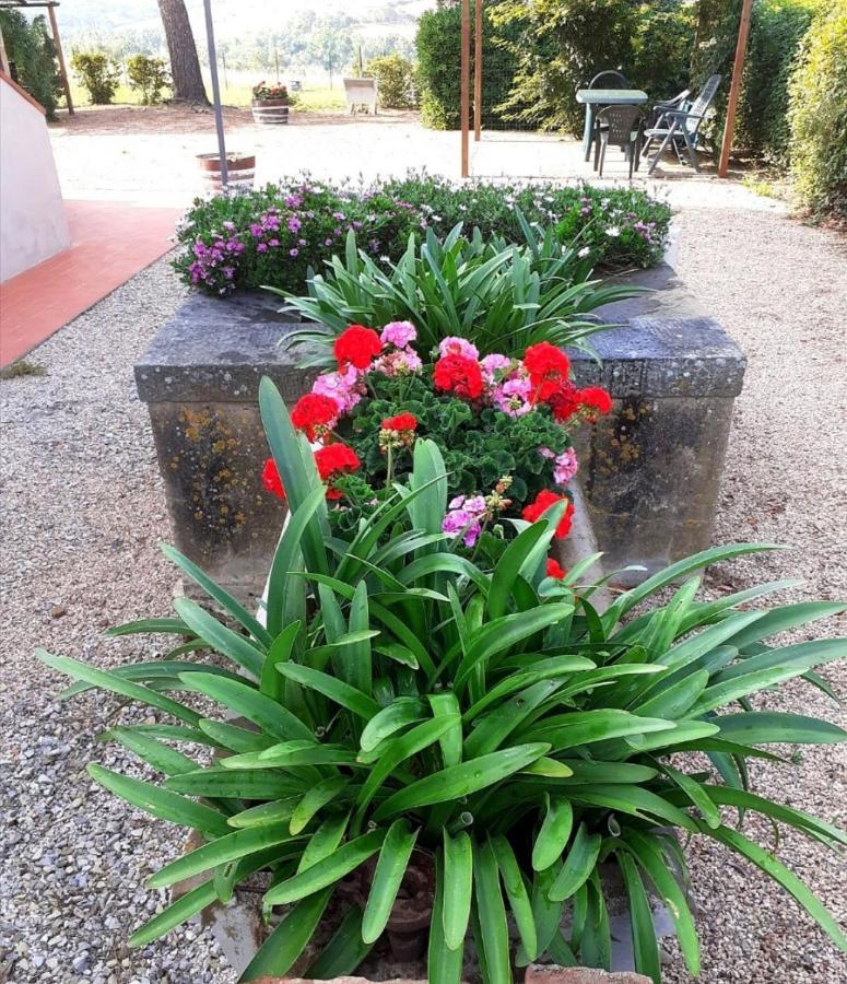 Agriturismo Boschetto Di Montiano Монтияно Экстерьер фото