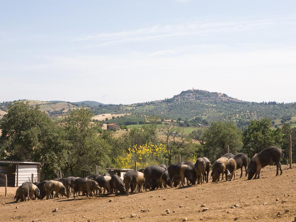Agriturismo Boschetto Di Montiano Монтияно Экстерьер фото
