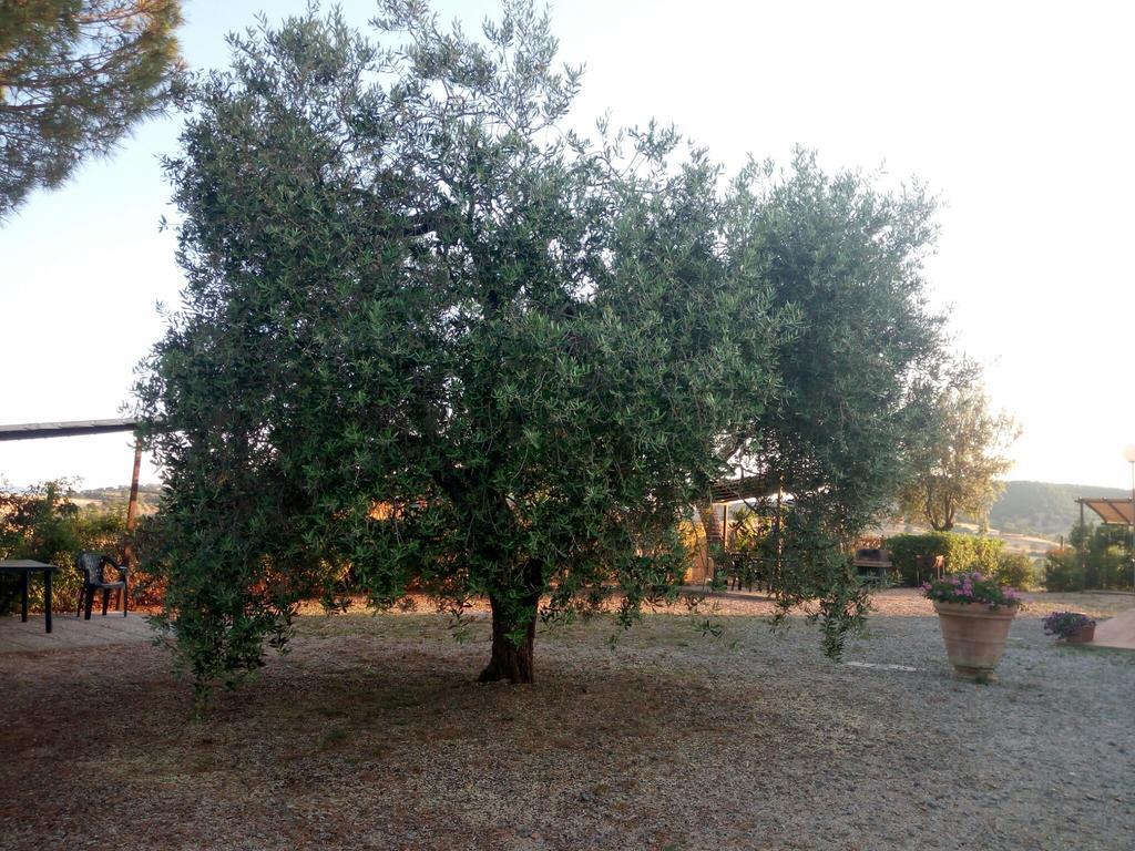 Agriturismo Boschetto Di Montiano Монтияно Экстерьер фото